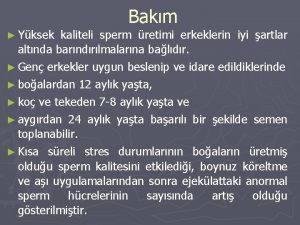 Yksek Bakm kaliteli sperm retimi erkeklerin iyi artlar