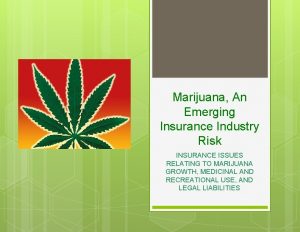 Marijuana An Emerging Insurance Industry Risk INSURANCE ISSUES