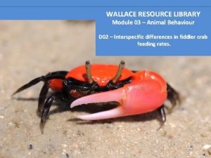 WALLACE RESOURCE LIBRARY Module 03 Animal Behaviour D