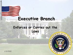 Executive Branch Enforces or Carries out the Laws