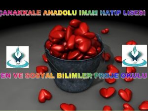 ANAKKALE ANADOLU MAM HATP LSES FEN VE SOSYAL