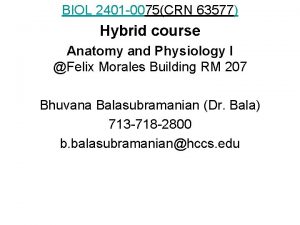 BIOL 2401 0075CRN 63577 Hybrid course Anatomy and