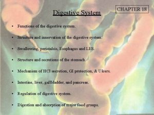 Digestive System Functions of the digestive system Structure