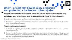 1 Brief 1 cricket fast bowler injury prediction