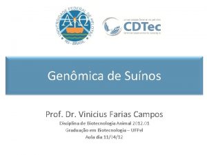 Genmica de Sunos Prof Dr Vinicius Farias Campos