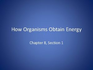 How Organisms Obtain Energy Chapter 8 Section 1