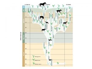 Change over Time Evolution Evolution defined change in