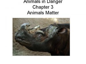 Animals in Danger Chapter 3 Animals Matter Danger