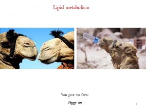 Lipid metabolism You give me fever Peggy lee