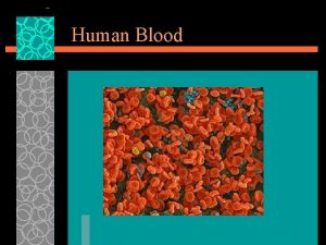 Human Blood Blood u The only fluid tissue