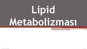 Lipid Metabolizmas Lipid Metabolizmas Karbonhidrat ve proteinlerle birlikte