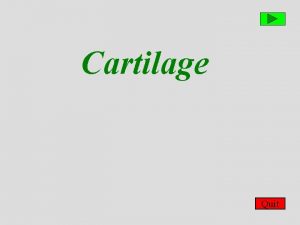Cartilage Quit Slide 1 Main menu Slide menu
