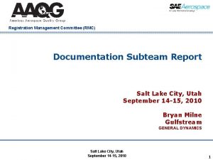 Registration Management Committee RMC Documentation Subteam Report Salt