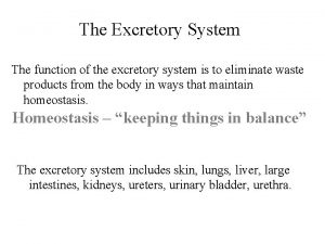 The Excretory System The function of the excretory