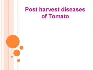 Post harvest diseases of Tomato LIST OF DISEASES