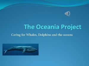 The Oceania Project Caring for Whales Dolphins and