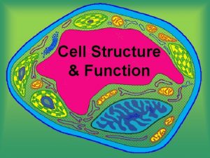 Cell Structure Function Cell Theory All living things