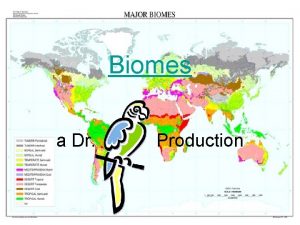 Biomes a Dr Production IV Terrestrial Biomes life