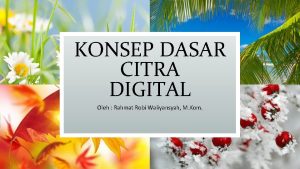 KONSEP DASAR CITRA DIGITAL Oleh Rahmat Robi Waliyansyah