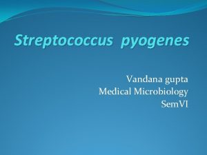 Streptococcus pyogenes Vandana gupta Medical Microbiology Sem VI