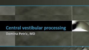 Central vestibular processing Domina Petric MD Vestibular pathway