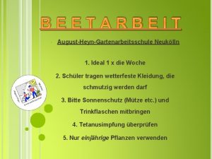 BEETARBEIT AugustHeynGartenarbeitsschule Neuklln 1 Ideal 1 x die