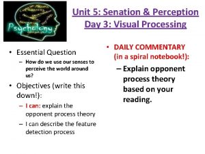 Unit 5 Senation Perception Day 3 Visual Processing