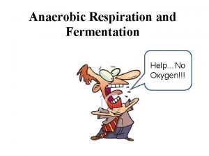 Anaerobic Respiration and Fermentation HelpNo Oxygen CATALYST C