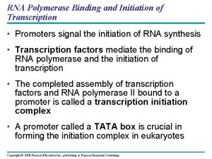 RNA Polymerase Binding and Initiation of Transcription Promoters