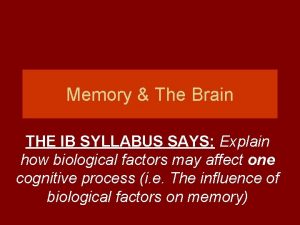 Memory The Brain THE IB SYLLABUS SAYS Explain