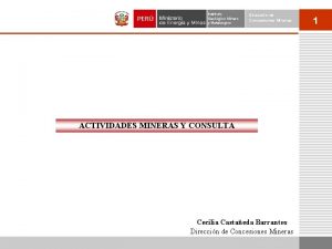 Instituto Geolgico Minero y Metalrgico Direccin de Concesiones