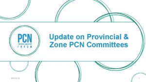 Update on Provincial Zone PCN Committees 2022 01