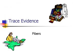 Trace Evidence Fibers Fibers n n Fibers are