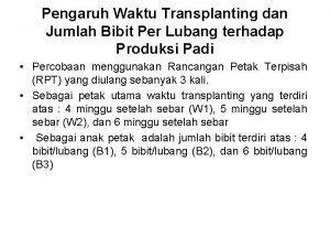 Pengaruh Waktu Transplanting dan Jumlah Bibit Per Lubang