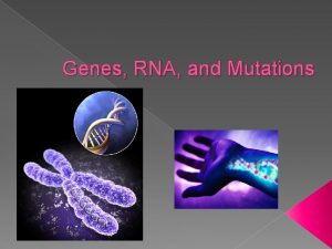 Genes RNA and Mutations Genes Proteins are made