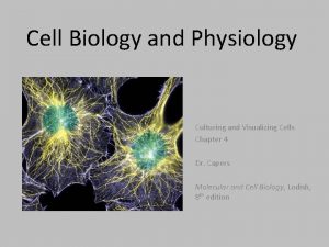 Cell Biology and Physiology Culturing and Visualizing Cells