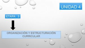 UNIDAD 4 ETAPA 3 ORGANIZACIN Y ESTRUCTURACIN CURRICULAR