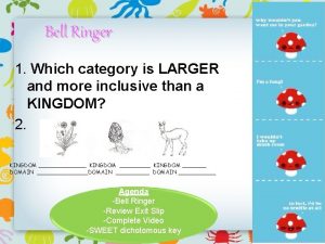 Bell Ringer 1 Which category is LARGER and