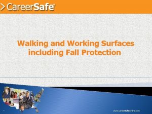 Walking and Working Surfaces including Fall Protection www