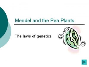 Mendel and the Pea Plants The laws of