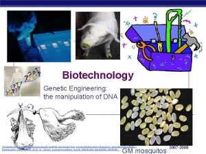 Biotechnology Genetic Engineering the manipulation of DNA AP