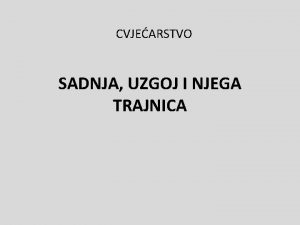 CVJEARSTVO SADNJA UZGOJ I NJEGA TRAJNICA Sadnja trajnica