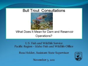 Bull Trout Consultations What Does It Mean for