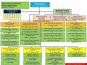 BAGAN STRUKTUR ORGANISASI DINAS KESEHATAN KADINKES dr Hj
