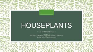 HOUSEPLANTS Care and Maintenance Presented by Kent Gentry