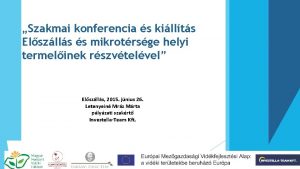 Szakmai konferencia s killts Elszlls s mikrotrsge helyi