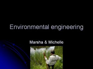 Environmental engineering Marsha Michelle What environmental engineers do