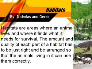 Habitats By Nicholas and Derek Habitats areas where