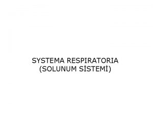 SYSTEMA RESPIRATORIA SOLUNUM SSTEM Solunum sistemi koku alglanmas