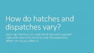 How do hatches and dispatches vary Learning intention